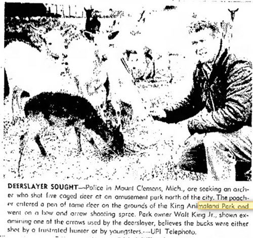 Kings Animaland Park - Dec 10 1966 Article On Deer Kill